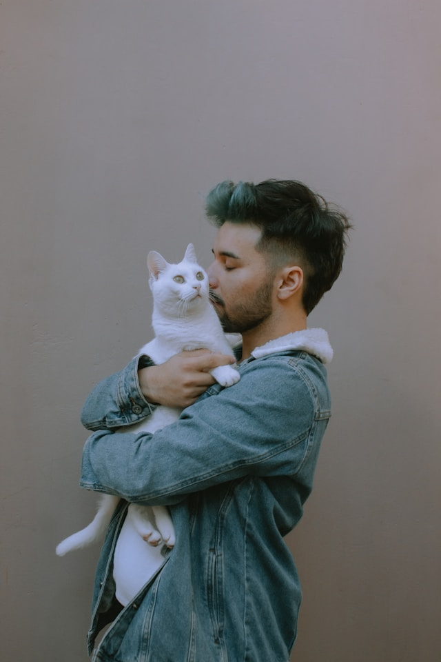 person holding a cat